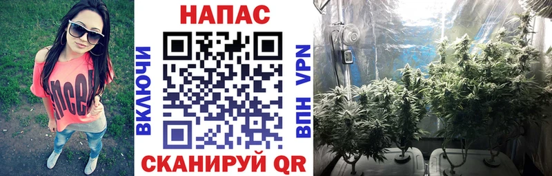 цена наркотик  Куйбышев  Бошки Шишки план 